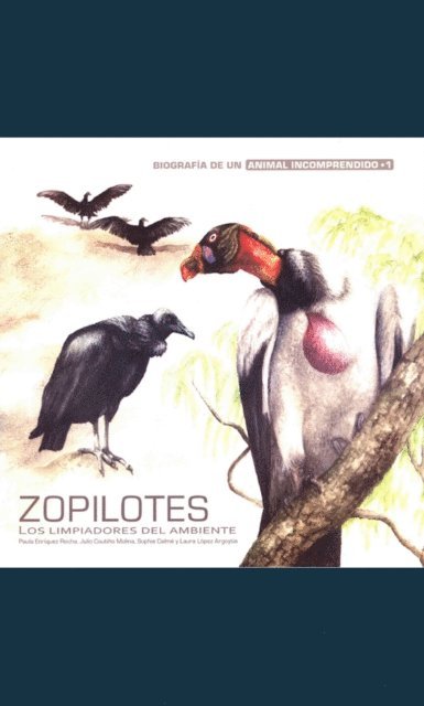 Laura Lopez Argoytia, Sophie Calme, Julio Coutino Molina, Paula Enriquez Rocha - Zopilotes, E-bok