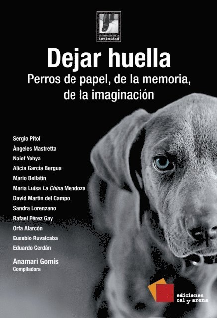 Eduardo Cerdan, Eusebio Ruvalcaba, Orfa Alarcon, Rafael Perez Gay, Sandra Lorenzano, David Martin del Campo, Maria Luisa Mendoza, Mario Bellatin, Alicia Garcia Bergua, Naief Yehya, Angeles Mastretta, Sergio Pitol - Dejar huella, E-bok