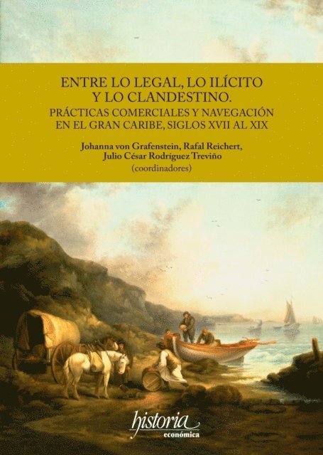 Julio Cesar Rodriguez, Rafael Reichert, Johanna von Grafenstein - Entre lo legal, lo ilicito y lo clandestino, E-bok
