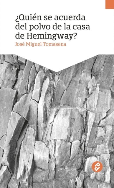 Jose Miguel Tomasena - ¿Quién se acuerda del polvo en la casa de Hemingway?, E-bok