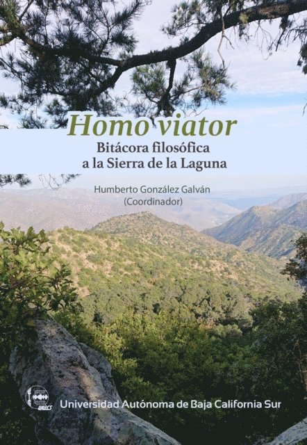 Rene Moreno Terrazas Troyo, Gabriel Campos, Paul Alan Cardenas, Italia Sinai Cabanillas Silva, Carlos Rios, Jorge Luis Cuevas, Jose Ramon Payan Trasvina, Alejandra Guadalupe Ortiz Gaxiola, Humberto Gonzalez Galvan - Homo viator, E-bok