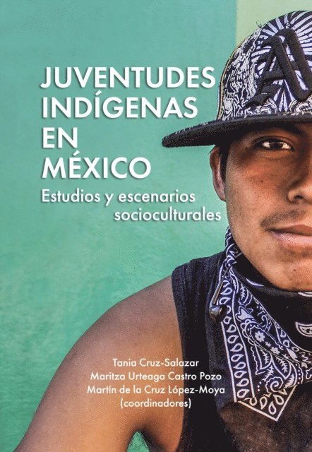 Martin de la Cruz Lopez-Moya, Maritza Urteaga Castro Pozo, Tania Cruz-Salazar - Juventudes indígenas en México, E-bok