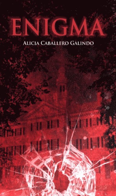 Alicia Caballero Galindo - Enigma, E-bok