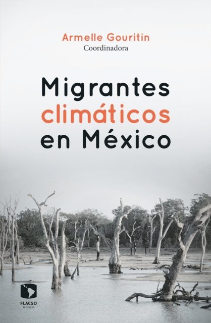 Maria Amparo Martinez Arroyo, Teolincacihuatl Velazquez Melo, Raul Pacheco Vega, Jose Antonio Leon Mella, Armelle Gouritin - Migrantes climáticos en México, E-bok