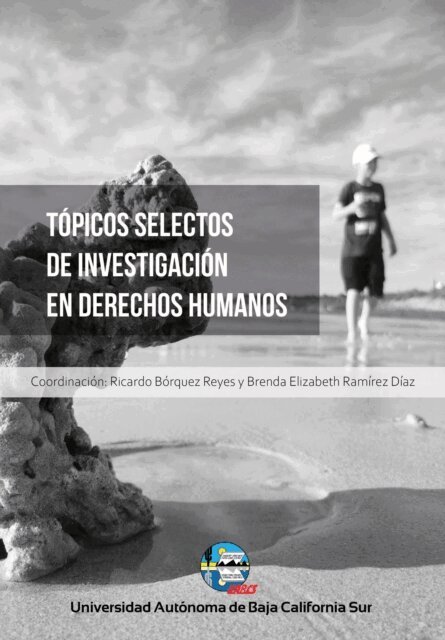 Rodrigo Serrano Castro, Cesar Romero Martinez, Adrian de la Rosa Escalante, Ruben Antonio Aviles Ruiz, Nicolas Lenin Alegria Peredia, Chikara Yanome Toda, Carmen Elena Arroyo Rodriguez, Rossana Andrea Almada Alatorre, Catalina Othon Walldez, Rebeca Lizette Buenrostro Gutierrez, Dulce Anyra Alida Cota Salazar, Mirna Guadalupe Fiol Higuera, Brenda Elizabeth Ramirez Diaz, Ricardo Borquez Reyes - Topicos selectos de investigacion en Derechos Humanos, E-bok