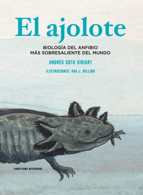 Andres Cota Hiriart - El ajolote, E-bok