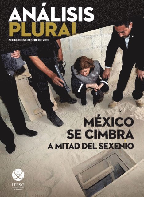 Oscar Munoz Villarreal, Jesus Arturo Navarro Ramos, Francisco Urrutia de la Torre, Ricardo Manuel Salazar Ruiz, Jose Bautista Farias, Alejandro Cardenas Lopez, Ruben Martin Martin, Jorge Valdivia Garcia, Jorge Enrique Rocha Quintero, Luis Ignacio Roman Morales, Sergio Negrete Cardenas, Francisco Javier Nunez de la Pena, Juan Carlos Nunez Bustillos - México se cimbra a mitad del sexenio, E-bok