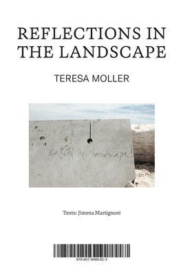 Teresa Moller: Reflections in the Landscape, Häftad