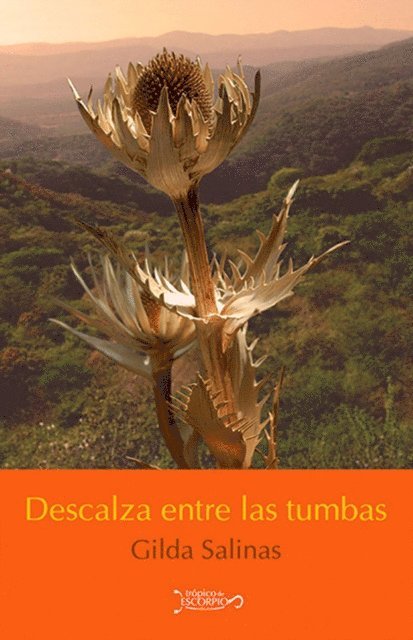 Gilda Salinas - Descalza entre las tumbas, E-bok