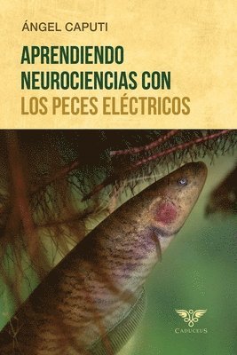 Angel Caputi - Aprendiendo neurociencias con los peces eléctricos, Häftad