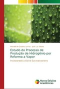 Estudo do Processo de Produo de Hidrognio por Reforma a Vapor