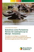 Bubalinos como Portadores Renais de Leptospira sp no Marajo - Amazonia