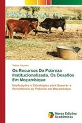 Os Recursos Da Pobreza Institucionalizada, Os Desafos Em Moambique