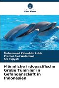 Mnnliche Indopazifische Groe Tmmler in Gefangenschaft in Indonesien