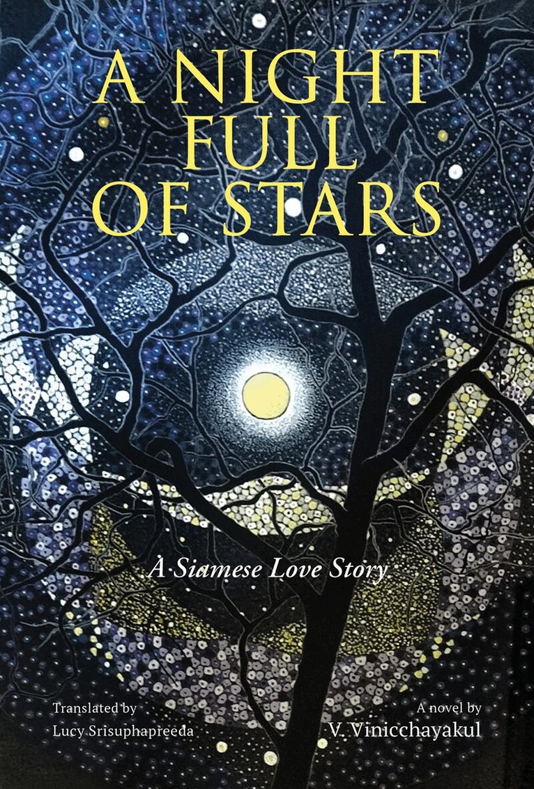 V. Vinicchayakul - Night Full of Stars, Häftad