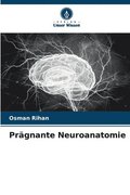 Prgnante Neuroanatomie