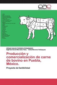 Produccin y comercializacin de carne de bovino en Puebla, Mxico.