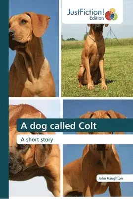 John Haughton - dog called Colt, Häftad. Tillgänglighet: Lägg i varukorg
