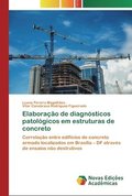 Elaborao de diagnsticos patolgicos em estruturas de concreto