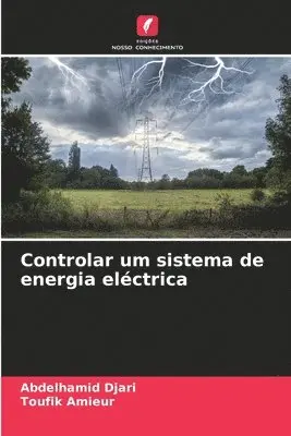 Abdelhamid Djari, Toufik Amieur - Controlar um sistema de energia eléctrica, Häftad. Tillgänglighet: Lägg i varukorg