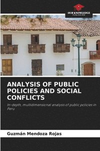 Analysis of Public Policies and Social Conflicts