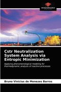 Cstr Neutralization System Analysis via Entropic Minimization