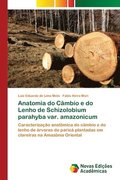 Anatomia do Cmbio e do Lenho de Schizolobium parahyba var. amazonicum