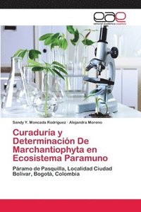 Curadura y Determinacin De Marchantiophyta en Ecosistema Paramuno