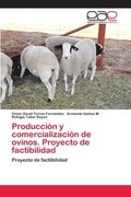 Produccion y comercializacion de ovinos. Proyecto de factibilidad