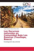 Los Recursos naturales en Comunidad Bajo Los Ramrez (Teustepe, Boaco)
