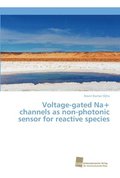 Voltage-gated Na+ channels as non-photonic sensor for reactive species