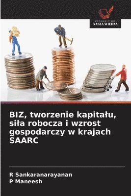 R Sankaranarayanan, P Maneesh - BIZ, tworzenie kapitalu, sila robocza i wzrost gospodarczy w krajach SAARC, Häftad