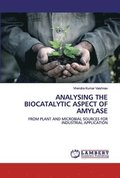 Analysing the Biocatalytic Aspect of Amylase
