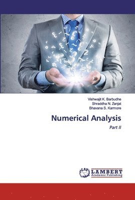 Vishwajit K Barbudhe, Shraddha N Zanjat, Bhavana S Karmore - Numerical Analysis, Häftad