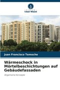 Wrmeschock in Mrtelbeschichtungen auf Gebudefassaden