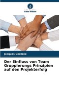 Einfluss von Team Gruppierungs Prinzipien auf den Projekterfolg