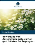 Bewertung von Antirrhinum majus unter geschtzten Bedingungen