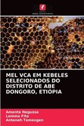 Mel Vca Em Kebeles Selecionados Do Distrito de Abe Dongoro, Etiópia