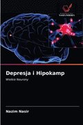Depresja i Hipokamp
