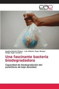 Una fascinante bacteria biodegradadora
