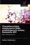 Charakterystyka molekularna ESBL produkuj&#261;cych izolaty Klebsiella SPP