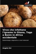 Virus che infettano l'igname in Ghana, Togo e Benin in Africa occidentale