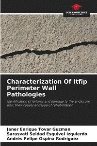 Characterization Of Itfip Perimeter Wall Pathologies