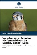 Vogelversammlung im Kiefernwald von La Sabina, Banao, Kuba.