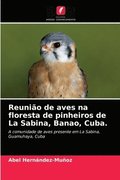 Reuniao de aves na floresta de pinheiros de La Sabina, Banao, Cuba.