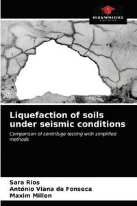 Liquefaction of soils under seismic conditions