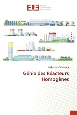 Abdelaziz Bouhadiba - Génie des Réacteurs Homogènes, Häftad