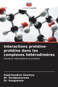 Interactions protine-protine dans les complexes htrodimres