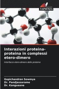 Interazioni proteina-proteina in complessi etero-dimero