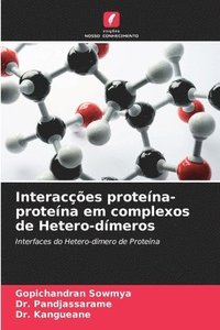 Interaces protena-protena em complexos de Hetero-dmeros